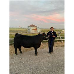Hunter Probst, FFA  - Reserve Champion Market Beef (Weight: 1540)