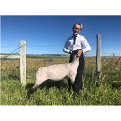 Katie Johnson - Grand Champion Market Lamb (Weight: 124)