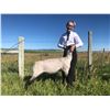 Image 1 : Katie Johnson - Grand Champion Market Lamb (Weight: 124)