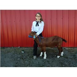 Selah Manseau - Grand Champion Market Goat (Weight: 87)