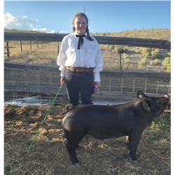 Danica Ponessa - Red Ribbon Market Hog (Weight: 229)