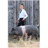 Image 1 : Haylee Brown - Blue Ribbon Market Hog (Weight: 266)