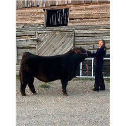 Emily Matamoros, FFA - Purple Ribbon Market Beef (Weight: 1295)