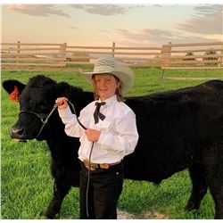 Piper Gaasch - Purple Ribbon Market Beef (Weight: 1220)
