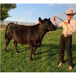 Ryder Gaasch - Blue Ribbon Market Beef (Weight: 1270)