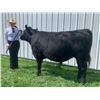 Image 1 : Andrea Gonzalez - Blue Ribbon Market Beef (Weight: 1340)