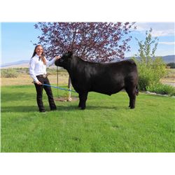 Taryn Martinell  - Blue Ribbon Market Beef (Weight: 1480)