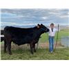 Image 1 : Cole Freitas - Purple Ribbon Market Beef (Weight: 1115)