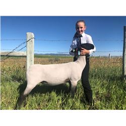 Tessa Johnson - Blue Ribbon Market Lamb (Weight: 134)