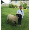 Image 1 : Clayton Wagenfehr - Blue Ribbon Market Lamb (Weight: 121)