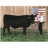 Image 1 : Zane Garrison - Blue Ribbon Market Beef (Weight: 1350)