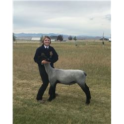 Katie VanSlyke, FFA  - Red Ribbon Market Lamb (Weight: 141)