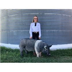 Reine McCoy  - Purple Ribbon Market Hog (Weight: 282)