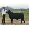 Image 1 : Jon Peterson - Blue Ribbon Market Beef (Weight: 1230)