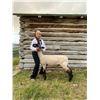Image 1 : Camila Matamoros - Blue Ribbon Market Lamb (Weight: 120)