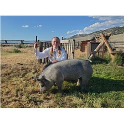 Emma Lovaas - Blue Ribbon Market Hog (Weight: 256)