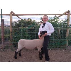 Amber Steadman - Purple Ribbon Market Lamb (Weight: 136)