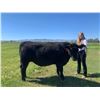 Image 1 : Halle Fitzgerald  - Blue Ribbon Market Beef (Weight: 1355)