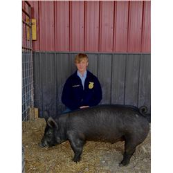 Luke Sherwood, FFA - Purple Ribbon Market Hog (Weight: 239)
