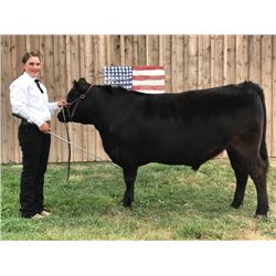 Scarlett Garrison - Blue Ribbon Market Beef (Weight: 1280)
