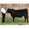 Image 1 : Scarlett Garrison - Blue Ribbon Market Beef (Weight: 1280)