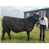 Image 1 : Chelsey Kiewatt  - Blue Ribbon Market Beef (Weight: 1465)