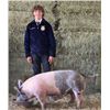 Image 1 : FFA Chapter Hog - Bryan Schmidlin - Purple Ribbon Market Hog (Weight: 263)