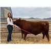 Image 1 : Molly Crafton  - Blue Ribbon Market Beef (Weight: 1400)