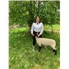 Image 1 : Tabitha vanDalen  - Purple Ribbon Market Lamb (Weight: 147)
