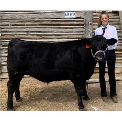 Kylie Konen - Blue Ribbon Market Beef (Weight: 1315)