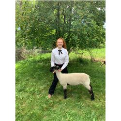 Lydia vanDalen - Blue Ribbon Market Lamb (Weight: 140)