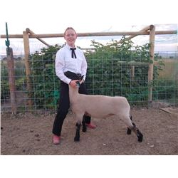 Samantha Steadman - Blue Ribbon Market Lamb (Weight: 124)