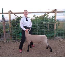 Samantha Steadman - Blue Ribbon Market Lamb (Weight: 124)