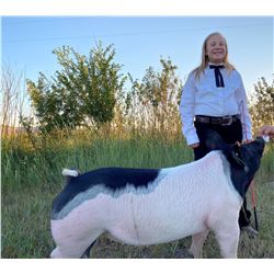 Autumn VandeSandt - Blue Ribbon Market Hog (Weight: 229)