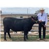 Image 1 : Kale Konen - Blue Ribbon Market Beef (Weight: 1325)