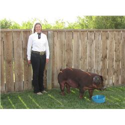 Molli Miner - Blue Ribbon Market Hog (Weight: 267)