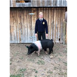 Asher Voss, FFA  - Blue Ribbon Market Hog (Weight: 286)