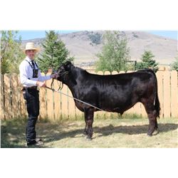 Walker Nygren - Blue Ribbon Market Beef (Weight: 1110)