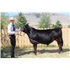Image 1 : Walker Nygren - Blue Ribbon Market Beef (Weight: 1110)