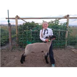 Lizzy Steadman - Blue Ribbon Market Lamb (Weight: 127)