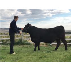 Gavin Garrison, FFA - Blue Ribbon Market Beef (Weight: 1340)