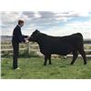 Image 1 : Gavin Garrison, FFA - Blue Ribbon Market Beef (Weight: 1340)
