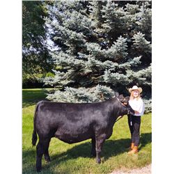 Aven Pflieger  - Blue Ribbon Market Beef (Weight: 1365)