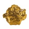 Image 2 : 1.41 Gram Gold Nugget