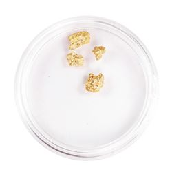Lot of Gold Nuggets 1.64 Grams Gold Weight