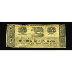(Washington, DC)- Humbug Glory Bank 5¢ circa 1837 