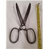 Image 1 : 1826 LARGER SHEAR SCISSORS