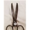 Image 4 : 1826 LARGER SHEAR SCISSORS