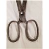 Image 5 : 1826 LARGER SHEAR SCISSORS