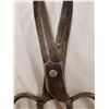 Image 6 : 1826 LARGER SHEAR SCISSORS
